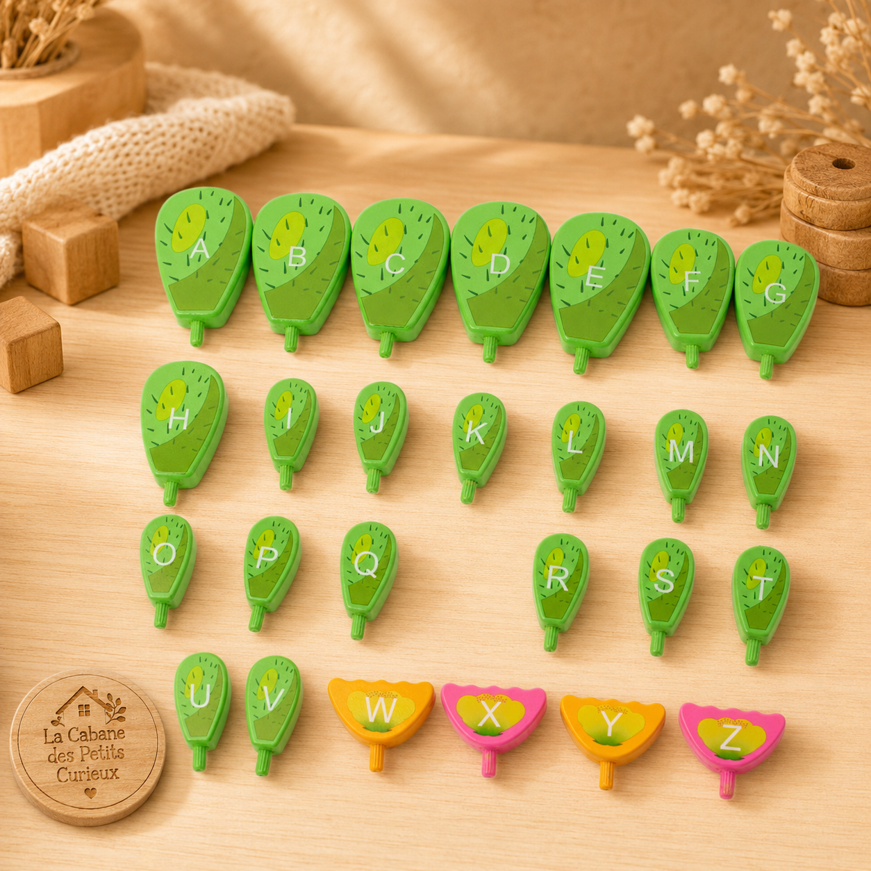 🌵 Cactus magnétique en bois – Jeu éducatif à construire